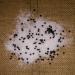 Ilanga Nature - Salt Flower with Black Pepper from Madagascar - 500g - Buy Online on GoSupps.com