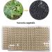600 Disposable Ear Seeds for Acupressure | Ear Seed Acupuncture & Massage Stickers 10 Sheets - Buy Online on GoSupps.com