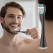 Replacement Toothbrush Heads 10 Pack for AquaSonic Black Series & Duo Series - Electric Toothbrush Compatible - Buy Online on GoSupps.com