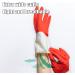 KKRAUS 3 Pairs Reusable Cleaning Gloves Non-Slip Laundry Rubber Gloves for Cleaning and Housework Gloves Kitchen Gloves Dishwashing Gloves (Color : Red Size : Medium) Medium Red - Buy Online on GoSupps.com