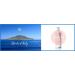 Islands of Italy Bath Gel - Champagne Peach Fragrance | Exotic Italian Luxury - Buy Online on GoSupps.com