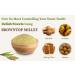 nalAmudhu Browntop Millet | Korale | Urochloa Ramosa Millet 453.5g | 1-lbs - Buy Online on GoSupps.com