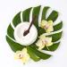 PURE FIJI Coconut Body Butter - Moisturizing Cream for Dry Skin - Natural Oils & Vitamin E - 8oz - Buy Online on GoSupps.com
