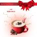 Coffee Mate Peppermint Mocha Creamer Bundle 2 Bottles of Flavored Liquid Coffee Creamer + TRIONI Multi-Purpose Measuring Spoon - Buy Online on GoSupps.com
