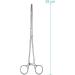 Buy May Long Clamp - 25 cm Serrated & Curved Tip Stainless Steel International Shipping Available - Buy Online on GoSupps.com
