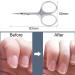 TingDongWei Nail Scissors Stainless Steel Cuticle Scissors Curved Cuticle Scissors Multi-Purpose Beauty Scissors for Trimming Eyebrows Nose Hair Beard Finger Toe Nail Care - Buy Online on GoSupps.com