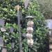 Grumpy Gardener 12.55kg Box of 150 x Deluxe Mix Fatballs Gourmet Suet Balls that your Wild Garden Birds will Love. - Buy Online on GoSupps.com