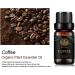 100% Pure Aromatherapy Coffee Essential Oil 10ml for Diffusers Massage Skin & Hair Care | International Shipping - Buy Online on GoSupps.com