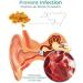 ALASSE GFOUK Earwax Softener & Remover Spray - 3 Pack for Effective Cochlear Blockage Removal - Buy Online on GoSupps.com