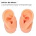 Silicone Human Ear Model for Hearing Aids & Headphones Demonstration | Artificial Ear Display for Lectures & Simulation - Buy Online on GoSupps.com
