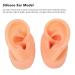 Ear Display Model Silicone Simulated Soft Ear Model Waterproof Long Lasting for Store - Buy Online on GoSupps.com