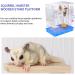 Buy Durable Wood Platform for Pets | 13x28 cm Squirrel & Hamster Stand | Ideal Parrot Cage Wooden Stand - Buy Online on GoSupps.com