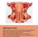 Long Nail Forms Self Adhesive Nail Art Extension Guide Home Salon - Buy Online on GoSupps.com