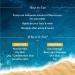 Glow+ Dewy Face Sunscreen SPF 50+ | Blue Light Protection | No White Cast | Brightening with Papaya & Vitamin C | 1.76 Oz 1 Pack - Buy Online on GoSupps.com
