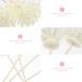 Angoily 12-Piece Room Fragrance Diffuser Set | Rattan Reed Sticks & Artificial Rose Flowers | Home Office & Spa Aromatherapy - Buy Online on GoSupps.com