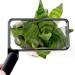 Folding Square Glass 3X Portable Pocket Magnifier Old Man Children Reading Flowers Mobile Phone Text Messages Travel HD Mirror Made in China - Buy Online on GoSupps.com