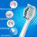 16-Pack Philips Sonicare Compatible Whitening Clean Replacement Brush Heads - 8 White & 8 Black - Buy Online on GoSupps.com