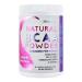 BCAA Powder Preworkout for Women - Naturally Sweetened with Stevia Erythritol & Monk Fruit + Delicious Recipe Guide PDF | 40 Servings (Fruit Punch) Fruit Punch 40 Serrvings