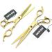 7.0 Inch Gold Hair Scissors Set - Hair Cutting & Thinning Scissors with Razor Combs | International Shipping - Buy Online on GoSupps.com
