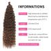 22 Inch Deep Twist Crochet Hair - Ocean Wave Curly Bohemian Braids | 3 Packs Synthetic Hair Extensions for Women & Girls | T4/10# - Buy Online on GoSupps.com