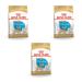 Royal Canin Chihuahua Puppy | Pack of 3 | 3 x 500 g | Complete food specially designed for Chihuahua puppies | Up to 8 months | May help reduce stool odors