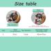 OmeHoin 2 Pcs Pet Dog Helmet Goggles Set Uv Protection Sunglasses Motorcycle Safety Hat With Adjustable Belt for Eye Head Protection for Dogs and Cats S size - Buy Online on GoSupps.com