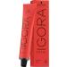 Schwarzkopf Igora Royal 7-4 Medium Beige Blonde Hair Color 60g - 2.1oz (Pack of 1) - Buy Online on GoSupps.com