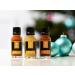 Mexican Tears Sharp Sauce Advent Calendar | 24 Unique Chili Sauces in Glass Bottles | Limited Edition 20ml Collection - Buy Online on GoSupps.com