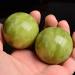 Bcowtte Baoding Balls - Jade Marble Pack of 4 for Anti-Stress Exercises | International Shipping Available - Buy Online on GoSupps.com