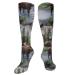 Bull Moose Nature Scenic Wildlife Animals Lake Lake Compression socks for women and men with a circulation of 15 20 mmHg is the best support for sporty running and cycling