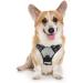 Rabbitgoo dog harness medium -sized dogs anti train crockery dog with control no pull adjustable dog harness large dogs breathable reflex stripes breast harness dog safe guided tour gray m (1 Pack) gray