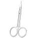 Facial Hair Small Grooming Scissors For Men Women - Eyebrow Nose Hair Mustache Beard Eyelashes Ear Trimming Kit - Fine Straight Tip Clippers For Hair Cutting - Stainless Steel 1PC
