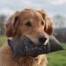 Firedog Dummy with Real Rabbit Fur - Durable 3 000g Dog Training Dummy for Effective Apportel - Buy Online on GoSupps.com