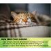Zenpaws No Scent Cat Relaxant Refill - Compatible with Feliway, Comfort Zone, ThunderEase & More - Buy Online on GoSupps.com