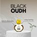 TMGABH Black Oudh Attar Luxury Fragrance | Bold Masculine Scent | Non-Alcoholic Roll-On Perfume for Men | Long Lasting Attar - 12 ml - Buy Online on GoSupps.com