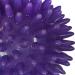 Colcolo 5x Spiky Massage Balls - Multi-Purpose Foot & Yoga Massager for Hands Feet & Back - Portable Plantarball for Ultimate Relief - Buy Online on GoSupps.com
