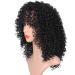 Buy Afro Wig for Women - Curly Long Hair | Party & Cosplay 50s 60s 70s 80s | International Shipping - Buy Online on GoSupps.com