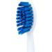 PRO-SYS VarioSonic Electric Toothbrush Starter Kit | Rechargeable & ADA Accepted | Smart Sonic Toothbrush with Timer | 2 Replacement Brush Heads | 5 Speeds - Buy Online on GoSupps.com