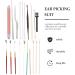 Healifty 1 Set Stainless Ear Pick Tools with Case - Professional Ear Cleaning Kit for Earwax Removal - Buy Online on GoSupps.com