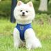 Buy Reflective Soft Padded Dog Harness & Cat Dishes for Small Dogs - Air-Mesh Breast Harness (M: 35-39cm) - Blue | International Shipping Available - Buy Online on GoSupps.com
