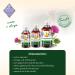 Shop Chronobalance 250ml Milk Thistle Oil for Cats | Natural Nutritional Supplement for Fur & Skin Health | Rich in Vitamin E Omega-6 & Omega-9 | Dosing Cups Included - Buy Online on GoSupps.com