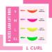 PERMANIA 31 Piece Lash Lift Rods - Reusable Soft C D L Curl Eyelash Perm Kit with Silicone Plate - Perfect for All Eye Shapes | International Shipping - Buy Online on GoSupps.com