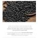 ROUND LAB Soybean Nourishing Toner - Unscented Hydrating Toner for Sensitive Skin | Deep Nutrition & Rejuvenation (10.1fl.oz) - International Shipping Available - Buy Online on GoSupps.com