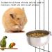3 Pieces Bird Feeding Dish Cups Stainless Steel Parrot Feeding Cups Animal Cage Water Food Bowl Bird Cage Cups Holder with Clamp Holder for Bird Parrot Small Animal - Buy Online on GoSupps.com