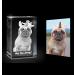 Custom Personalized Pet 3D Crystal Photo | Engraved Cat & Dog Pictures in Glass - Buy Online on GoSupps.com