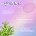 Acne Patches with Natural Green Algae & Tea Tree Oil | Hydrocolloid Treatment for Zits Pimples & Blemishes - Fast International Shipping - Buy Online on GoSupps.com