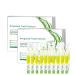 Tlopa ampoule tooth serum 20 bottles of Tlopa toothpaste tlopa ampoules toothpaste tlopa ampoule toothpaste tartar remove 2 boxes (20 bottles)