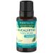 Nature's Truth Aromatherapy 100% Pure Essential Oil Eucalyptus 0.51 Fluid Ounce