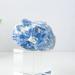 Room Decoration Natural Quartz Cyanite Stripe Crystal Raw Stone Gemtsone Irregular Blue Kyanite Rough Stone Specimen (Size : 300-350g) - Buy Online on GoSupps.com
