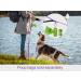 Taglory Reflective Dog Leash for Medium & Large Dogs | Padded Handle Supports 10-75 kg | 1.8m x 2.5cm | Purple | Ideal for Comfortable Walking - Buy Online on GoSupps.com
